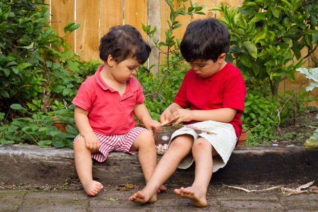 gardening with kids : poding beans - Constanca Cabral