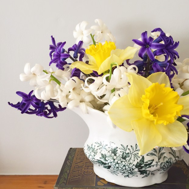 spring flower arrangement: homegrown daffodils and hyacinths in vintage gravy boat