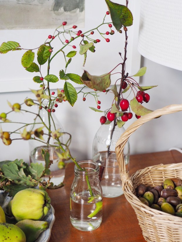 autumn nature table berries