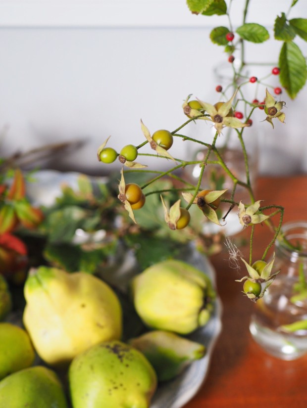 autumn nature table rosehips